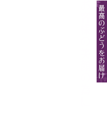 最高のぶどうをお届け お客様の笑顔の為に 安全で新鮮な美味しいブドウを食べていただきたい私たちは「産地から心を込めて」を合い言葉に家族みんなでブドウ作りをして直接お客様の声を聞けるように直売所で販売をしています。